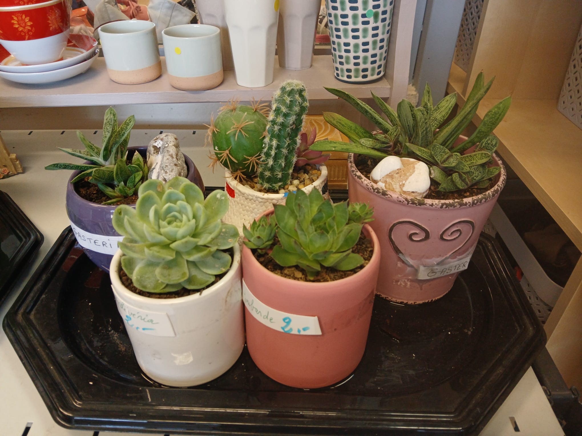 La boutique aujourd'hui - photo 5